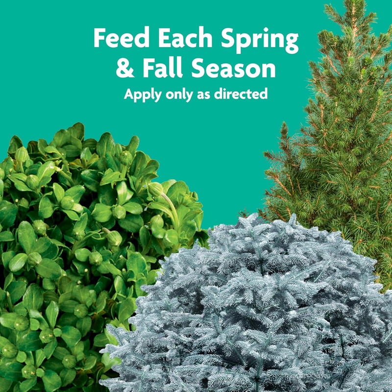 Miracle-Gro Tree and Shrub Plant Food Spikes, For Deciduous, Flowering and Evergreen Trees, 12 Spikes - Image 4