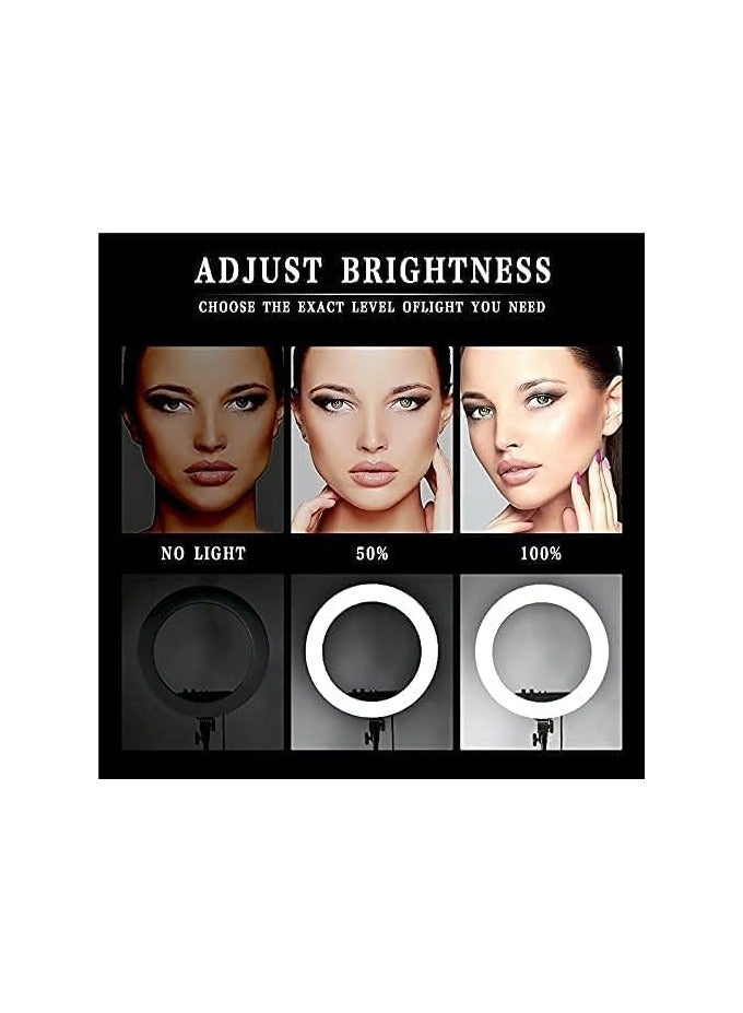 Raxoom RL-14 LED Ring Light, 14 Inch Soft Ring Light for Smartphones, Camera, YouTube TikTok Videos with Tripod & 3 phone Holders - Image 5