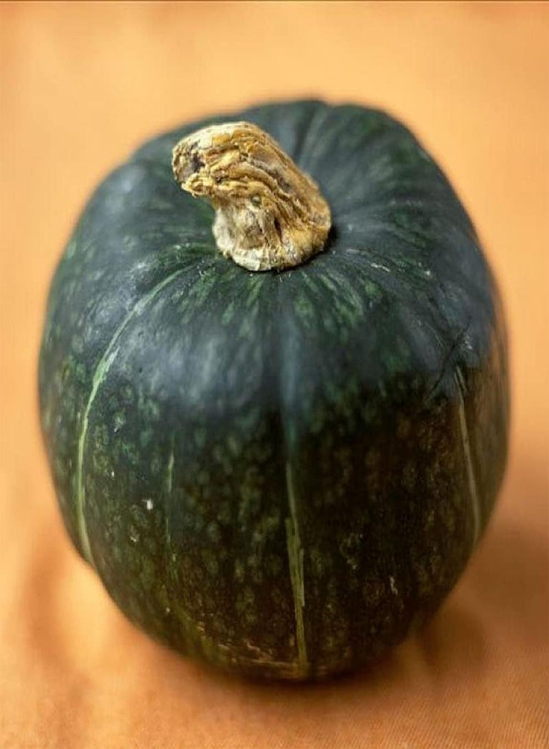 GGOOT 50pcs Mix Pumpkin Seeds Healthy Squash for Garden Courtyard Terrace Planting Popular Vegetables Easy to Cultivate Autumn Harvest - Image 2