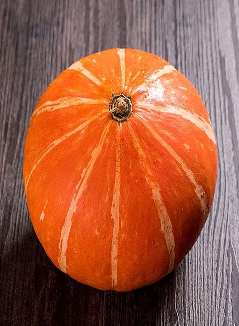 GGOOT 50pcs Mix Pumpkin Seeds Healthy Squash for Garden Courtyard Terrace Planting Popular Vegetables Easy to Cultivate Autumn Harvest - Image 1