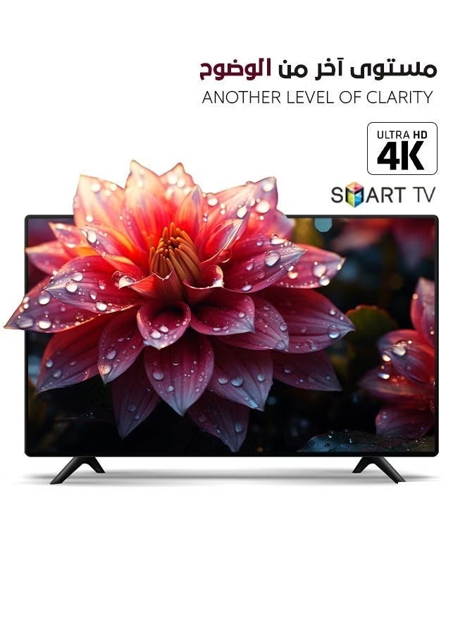 دبليو بوكس شاشة  55 سمارت فور كى ويبوس - Image 2