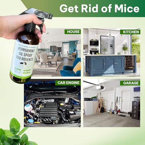 Kate Naturals Peppermint Oil Spray for Rodents, Squirrels, Mouse, Bat, Rat, Car Engines (16oz, Non-Toxic Rodent Repellent, Pet Safe) - Image 3