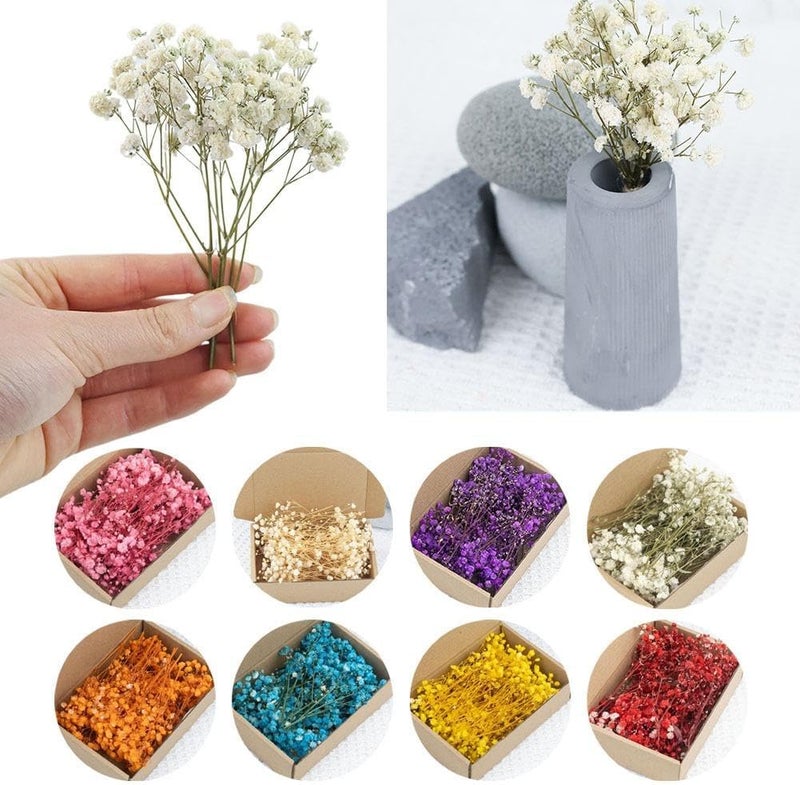 Diverse application fit Dried Baby's Breath and Eucalyptus Bundle, 6-15cm Preserved Flowers for DIY Crafts, Home Decor, and Floral Arrangements - Natural Ivory and Green Tones, 50 Pieces (Orange) Daily universal pick - Image 2