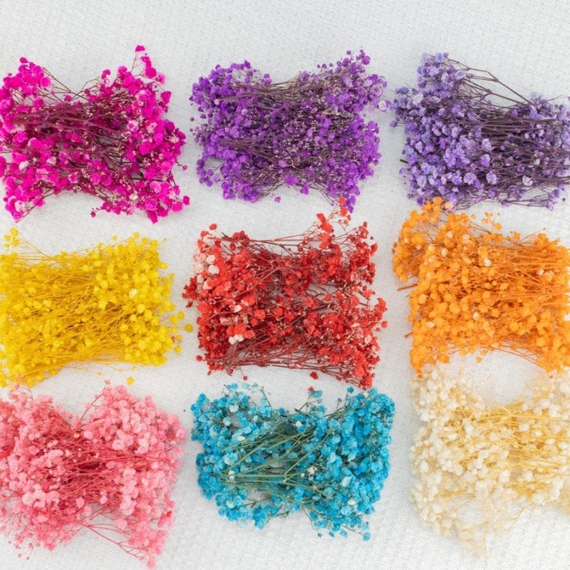 Diverse application fit Dried Baby's Breath and Eucalyptus Bundle, 6-15cm Preserved Flowers for DIY Crafts, Home Decor, and Floral Arrangements - Natural Ivory and Green Tones, 50 Pieces (Orange) Daily universal pick - Image 4