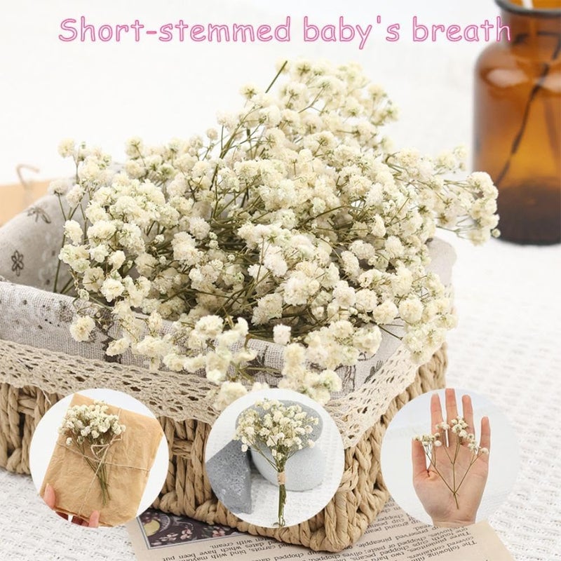 Diverse application fit Dried Baby's Breath and Eucalyptus Bundle, 6-15cm Preserved Flowers for DIY Crafts, Home Decor, and Floral Arrangements - Natural Ivory and Green Tones, 50 Pieces (Orange) Daily universal pick - Image 5