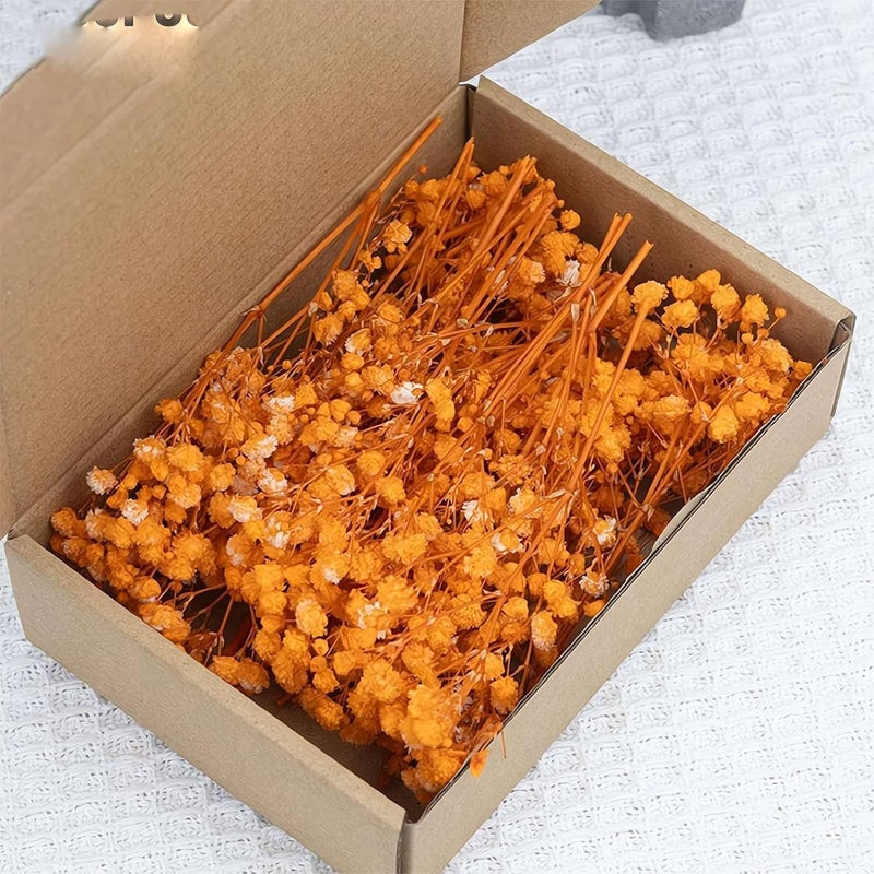 Diverse application fit Dried Baby's Breath and Eucalyptus Bundle, 6-15cm Preserved Flowers for DIY Crafts, Home Decor, and Floral Arrangements - Natural Ivory and Green Tones, 50 Pieces (Orange) Daily universal pick - Image 1