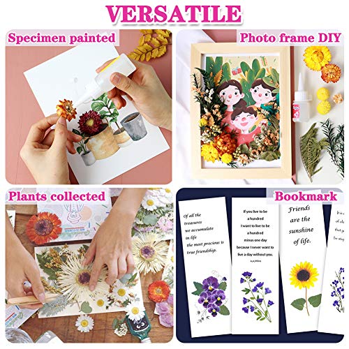 Vignee Real Dried Pressed Leaf Flowers-Multiple Colorful Pressed Flowers Daisies for Craft Resin Jewelry Making Art Craft DIY（Violet） - Image 5