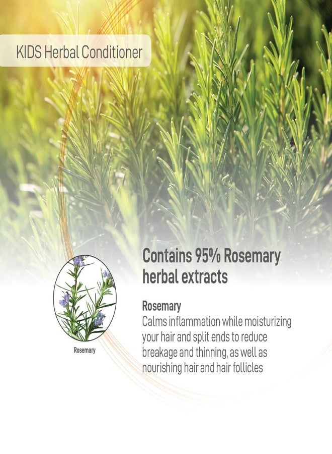 Moraz Natural Kids Conditioner - Gentle Defining Conditioner Made with Rosemary Extract, Hair Care Kids Conditioner for All Hair Types, Tangle Free, Moisturizing and Nourishing Hair, 17 FL. OZ - Image 3