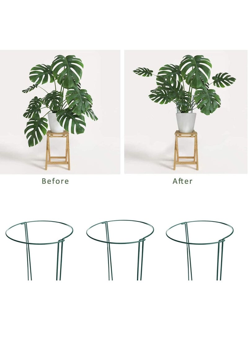 Y&D Plant Climbing Support Frame, Metal Garden Stake, Outdoor Tall Ring Cage, Large Supports for Peony, Tomato, Vegetable, Hydrangea, Rose, Flowers Vine  - Image 2