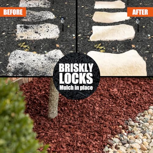 Shabebe Mulch Glue for Landscaping, 1Gallon Rock Glue, Fast-Dry Non-Toxic Weather-Resistant Strong Gravel Binder, Pine Straw Outdoor Strong Pebble Gravel Hold for Garden, Mulch Lock and Pea Gravel Stabilizer - Image 2