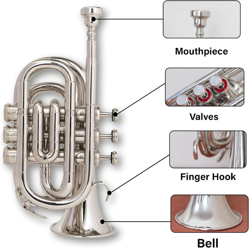 QUEENBRASS Queen Brass B-Flat Pocket Trumpet Silver Finish Compact Brass Instrument with Mouthpiece Gloves and Carrying Case for Students Beginners and Travel Friendly - Image 3