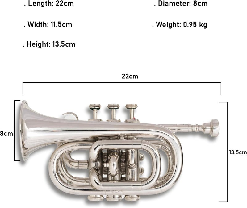 QUEENBRASS Queen Brass B-Flat Pocket Trumpet Silver Finish Compact Brass Instrument with Mouthpiece Gloves and Carrying Case for Students Beginners and Travel Friendly - Image 4