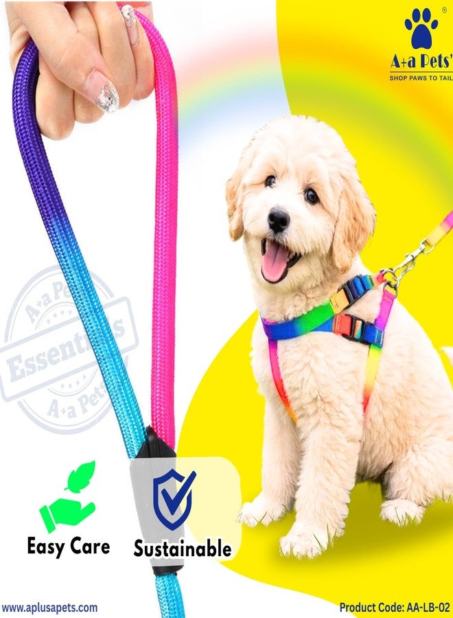 A+a Pets' Harness and Leash Set | Colourful Combo in Rainbow for Cats and Dogs (XS, Rainbow) (XS) - Image 4