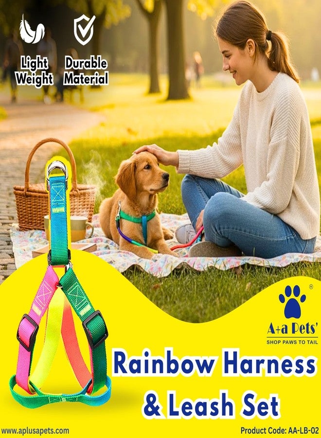 A+a Pets' Harness and Leash Set | Colourful Combo in Rainbow for Cats and Dogs (XS, Rainbow) (XS) - Image 2