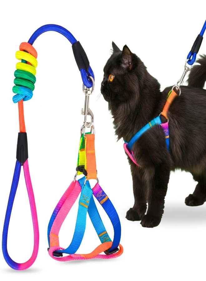 A+a Pets' Harness and Leash Set | Colourful Combo in Rainbow for Cats and Dogs (XS, Rainbow) (XS) - Image 1