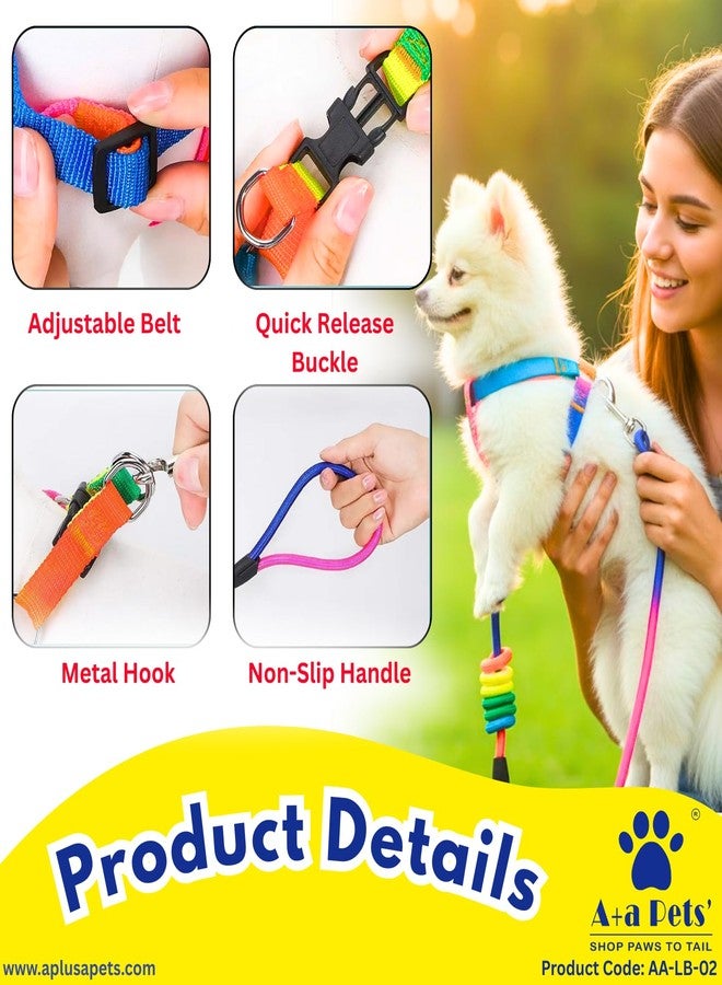 A+a Pets' Harness and Leash Set | Colourful Combo in Rainbow for Cats and Dogs (XS, Rainbow) (XS) - Image 3