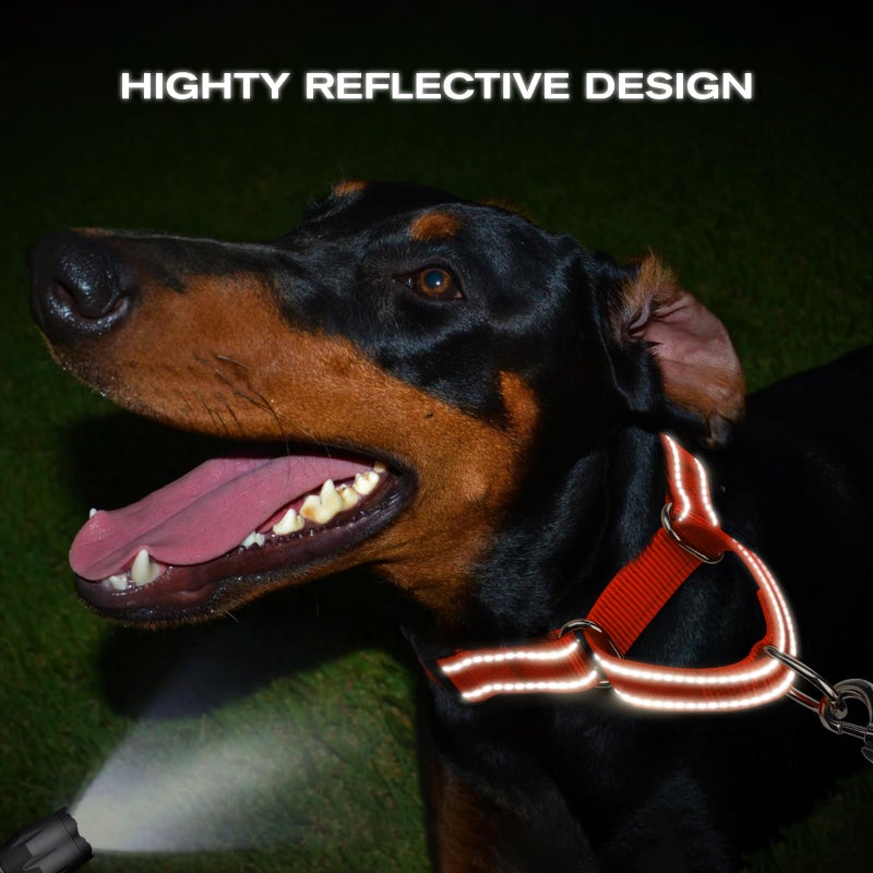 Joytale Martingale Collar for Dogs, Reflective Heavy Duty for Safety, Quick Release Buckle, Adjustable Nylon Collars for Medium Dogs Walking Training, Orange,M - Image 5