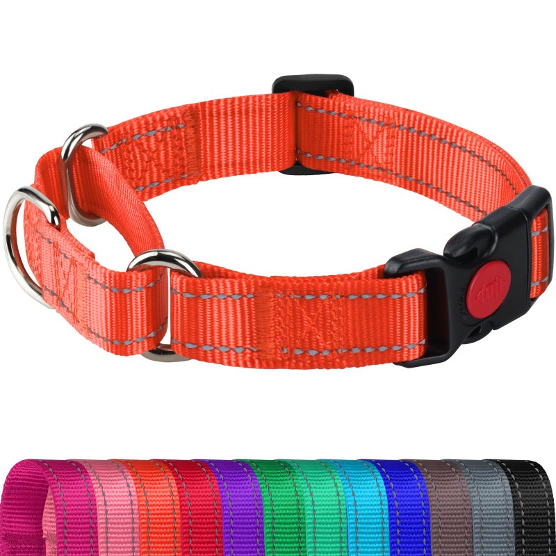 Joytale Martingale Collar for Dogs, Reflective Heavy Duty for Safety, Quick Release Buckle, Adjustable Nylon Collars for Medium Dogs Walking Training, Orange,M - Image 1