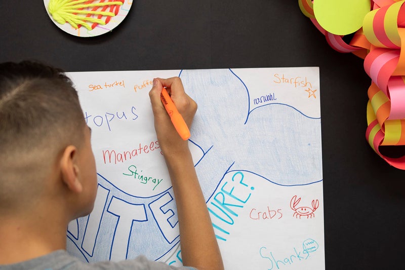 Prang براج (سابقًا آرت ستريت) رول فن و حامل، أبيض، 24" × 200'، 1 رول - Image 4