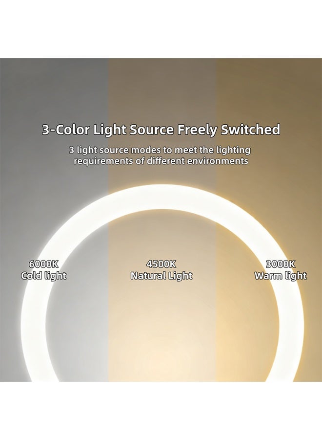 Makeup Mirror, Make-Up Mirror, Three-Level Adjustable LED Light-Adjustable Brightness, 1 to 10 Times Magnifying Touch Screen Cosmetic Mirror, Battery Model, Suitable for Bedrooms, Living Rooms and Bathrooms - Image 5