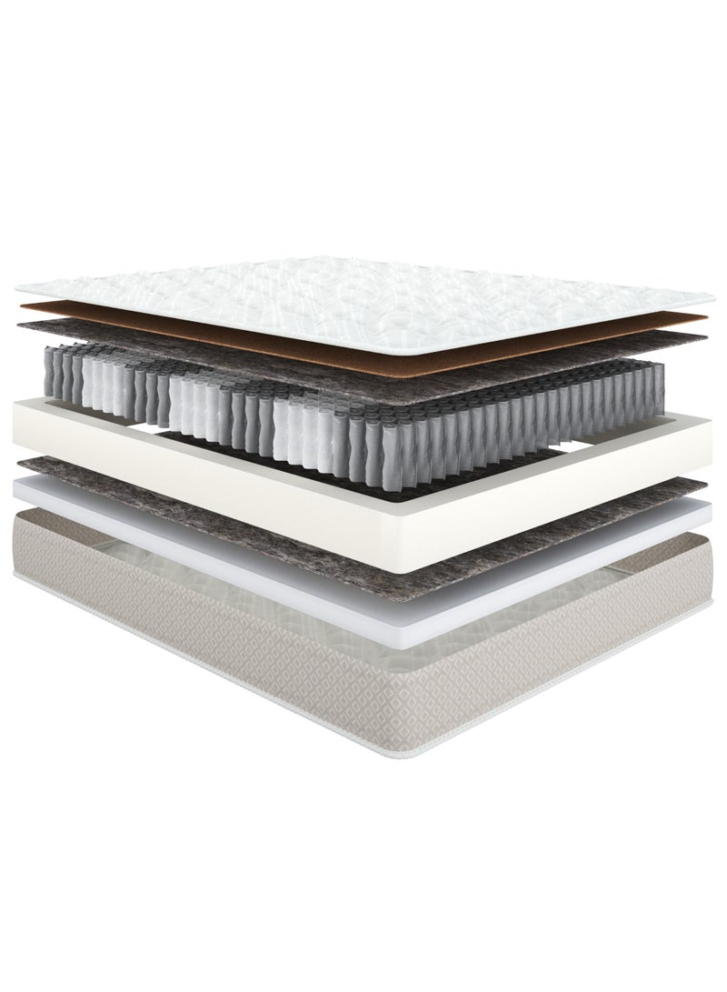 اسكونا Mattress Classic Duo Hard-Soft 160x200x24 - Image 1