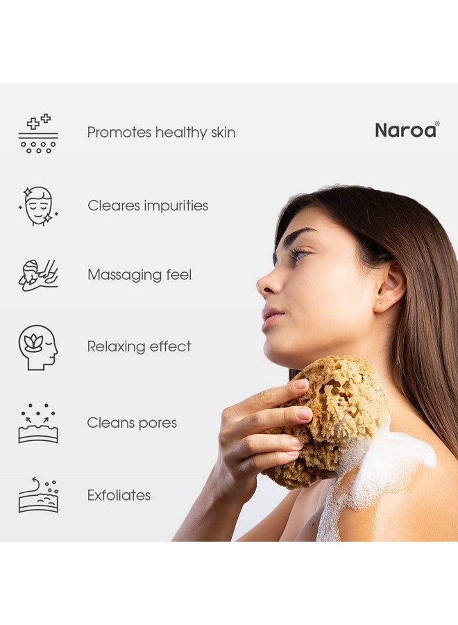Naroa Massage Natural Shower Sponge Unbleached Body Scrubber Puff Bath Sponge For Healthy Skin Eco Friendly Sustainable Sea Sponge (Massage X Large) - Image 2