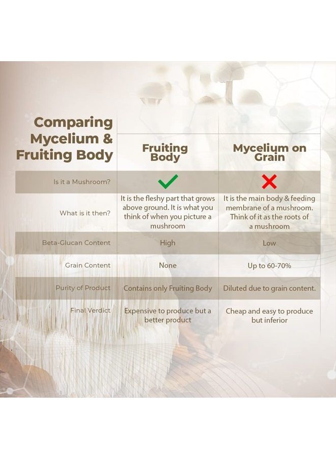 Nootropics Depot كبسولات فطر ذيل الأسد | 8:1 استخراج مزدوج للجسم الثمري الكامل | 500 ملغ | 60 حبة | هيريسيوم إيريناسيوس - Image 3