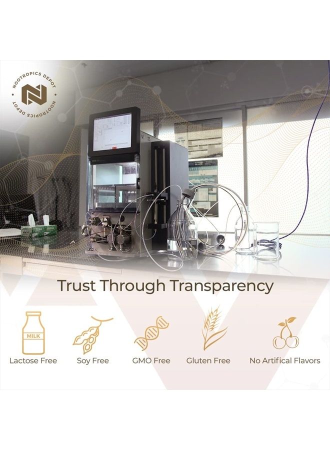 Nootropics Depot كبسولات فطر ذيل الأسد | 8:1 استخراج مزدوج للجسم الثمري الكامل | 500 ملغ | 60 حبة | هيريسيوم إيريناسيوس - Image 4