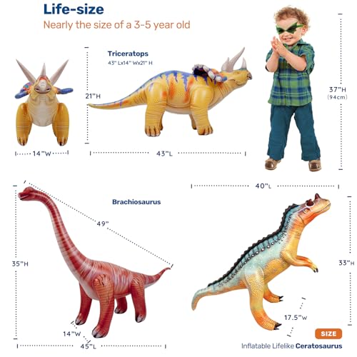 HOHQB 3 pack Inflatable Dinosaur Jurassic Birthday Party Supplies Giant Blow up Dinosaur Birthday Decorations Balloons for Kids Triceratops Brachiosaurus Ceratosaurus - Image 5