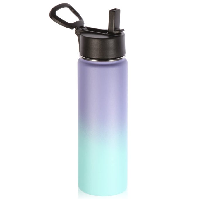 22 OZ INSULATED WATER BOTTLES WITH STRAW LID STAINLESS STEEL BOTTLE WITH HANDLE DOUBLE WALLED METAL TRAVEL WATER CUPS WITH WIDE MOUTH REUSABLE WATER FLASK FOR SCHOOLPURPLE BLUE1 SET