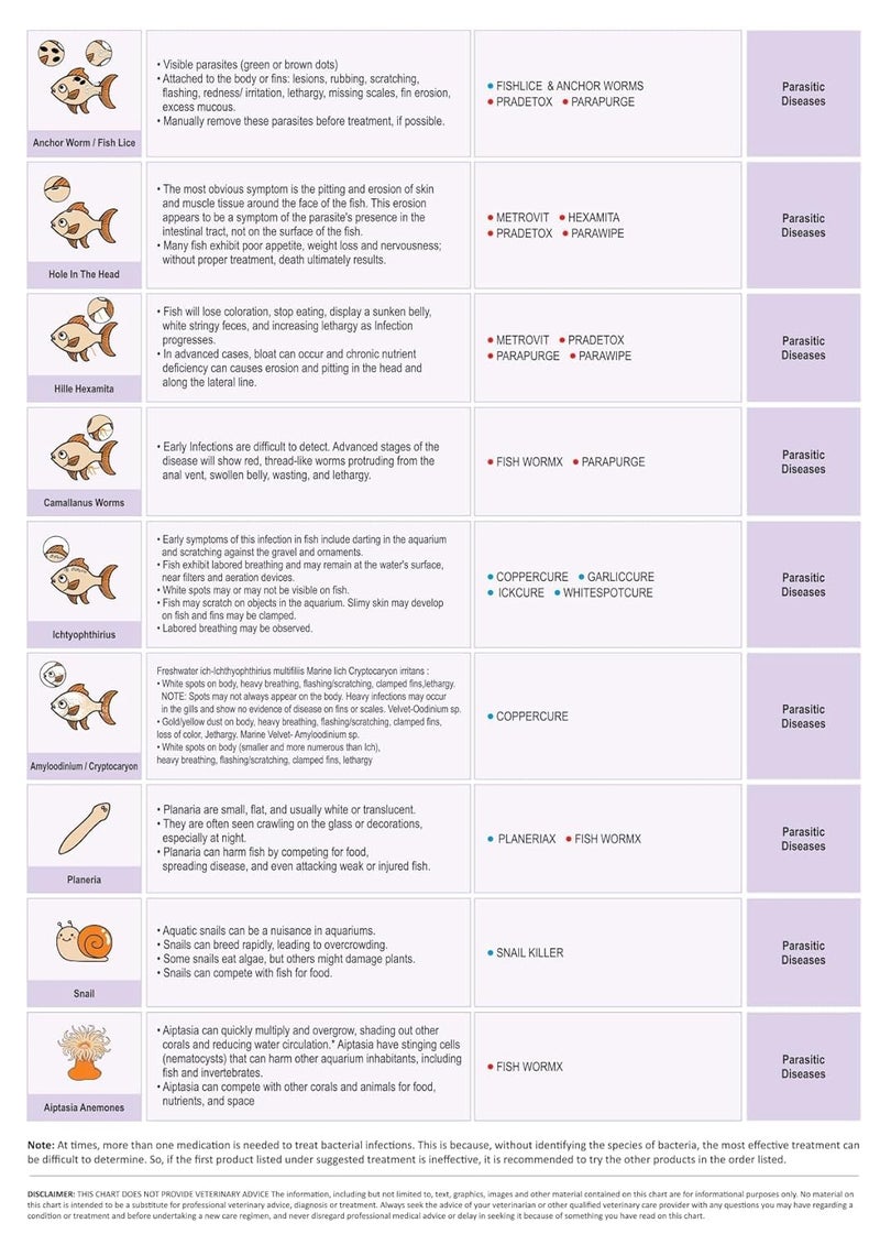 aqua nature AquaNature® Chlorine Erase + Water Conditioner Concentrated Chlorine Remover +Vitamin B&C for Freshwater Aquarium (250ml) - Image 3
