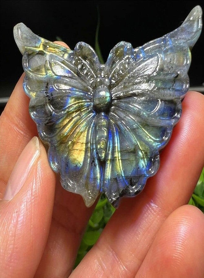 TEAMWILL 2 بوصة حجر لابرادوريت طبيعي منحوت على شكل جمجمة فراشة، كوارتز كريستالي للشفاء والريكي - Image 1