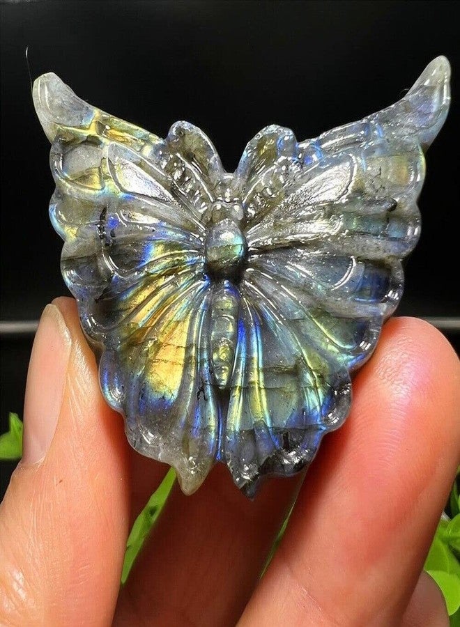 TEAMWILL 2 بوصة حجر لابرادوريت طبيعي منحوت على شكل جمجمة فراشة، كوارتز كريستالي للشفاء والريكي - Image 4