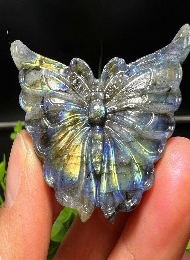 TEAMWILL 2 بوصة حجر لابرادوريت طبيعي منحوت على شكل جمجمة فراشة، كوارتز كريستالي للشفاء والريكي - Image 3