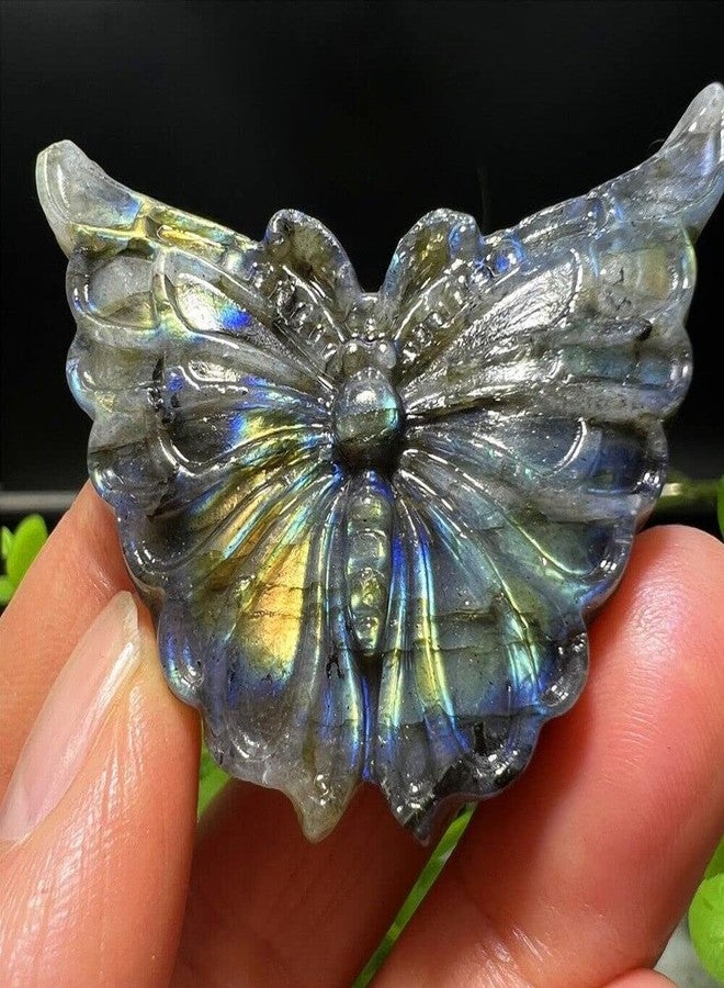 TEAMWILL 2 بوصة حجر لابرادوريت طبيعي منحوت على شكل جمجمة فراشة، كوارتز كريستالي للشفاء والريكي - Image 5