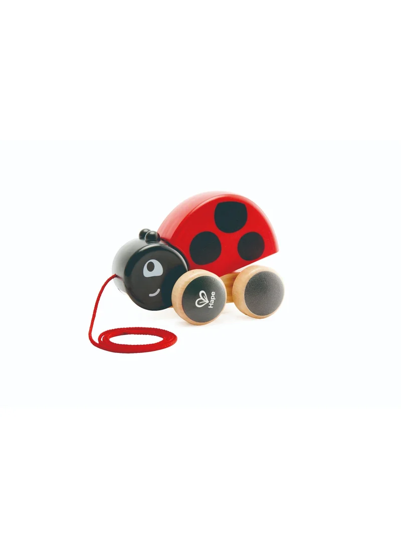 Hape Hape Ladybug Pull Along Wooden Toy, Interactive Pull Toy with Flapping Wings, Toddler Walking Toy, 12 Months+, Baby Pull Toys