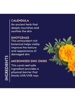 Naturopathica Calendula Essential Hydrating Lotion With Spf 30 Sunscreen Daily Facial Moisturizer For All Skin Types 1.7 Fl Oz (50 Ml)  - Image 3