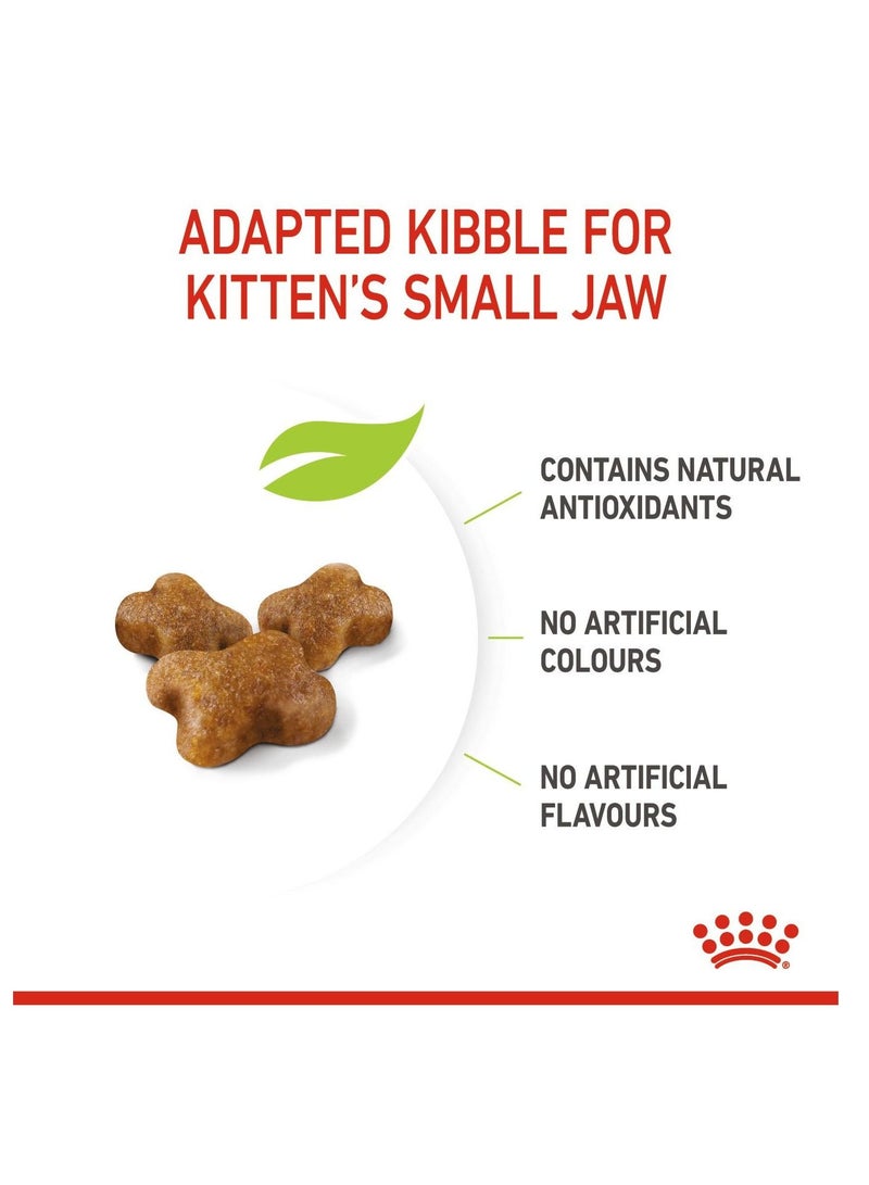 ROYAL CANIN طعام جاف للقطط الصغيرة من Feline Health Nutrition، المرحلة 3، 400 جرام - Image 3