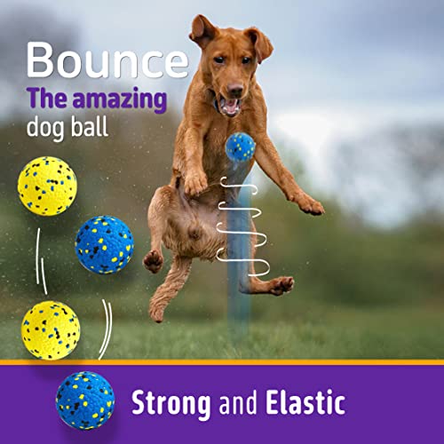 Kimee Dog Balls Tennis Ball Toys Dog Toys for Aggressive Chewers Durable Teething Chew Toys Water Toy Fetch Ball for Large Medium Small Dog and Puppies (4 Balls) - Image 4