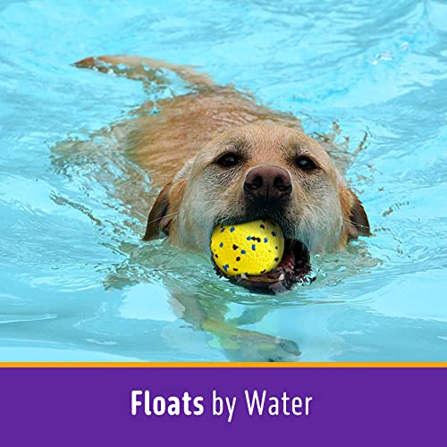 Kimee Dog Balls Tennis Ball Toys Dog Toys for Aggressive Chewers Durable Teething Chew Toys Water Toy Fetch Ball for Large Medium Small Dog and Puppies (4 Balls) - Image 5