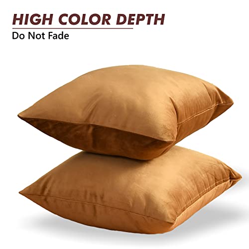 Yellow Weaves Soft Velvet Fabric Cushion Cover 12 X 12 Inches, Set of 2, (Golden Brown) - Image 2