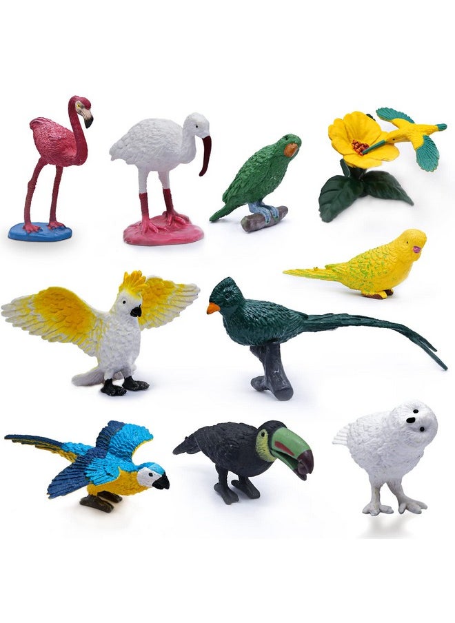 Sienon - 10Pcs Mini Birds Figures Plastic Bird Animal Toys Realistic Bird Animal Figurines Miniature Bird Animal Model Flamingo White Ibis Parrots Hummingbird Educational Toy Cake Toppers - Image 1