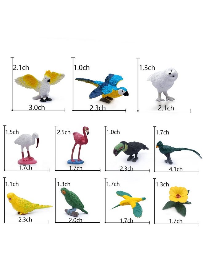 Sienon - 10Pcs Mini Birds Figures Plastic Bird Animal Toys Realistic Bird Animal Figurines Miniature Bird Animal Model Flamingo White Ibis Parrots Hummingbird Educational Toy Cake Toppers - Image 1