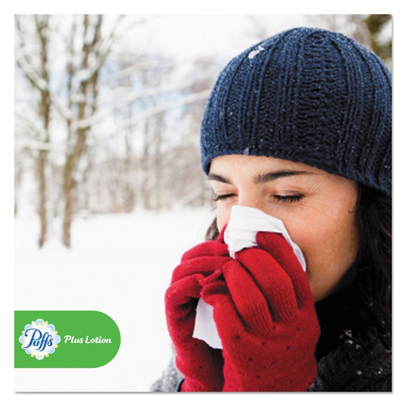 Puffs Plus Lotion Facial Tissue 2Ply White 124 SheetsBox 6 BoxesPack 4 PacksCarton - Image 4