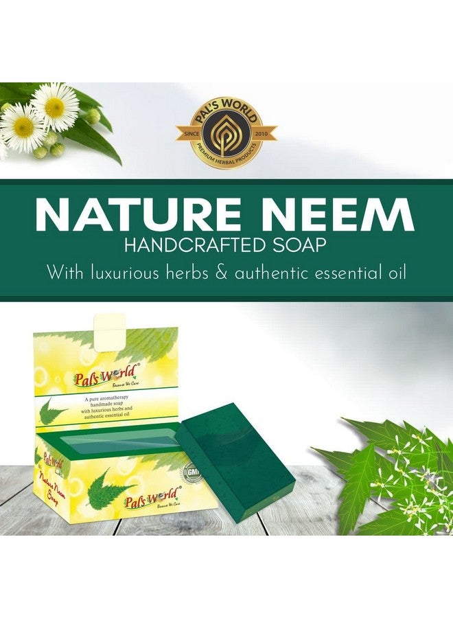 Pal's World Anti Pigmentation Facial Kit & Nature Neem Soap - Pimples Treatment (Anti-Pigmentation Facial Kit With Neem Soap) - Image 2