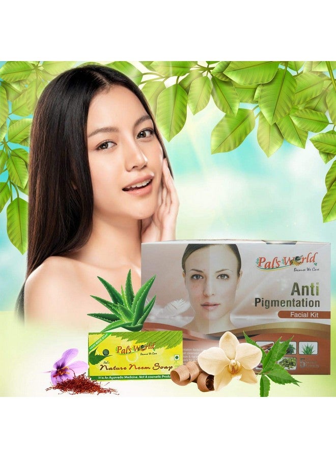 Pal's World Anti Pigmentation Facial Kit & Nature Neem Soap - Pimples Treatment (Anti-Pigmentation Facial Kit With Neem Soap) - Image 1
