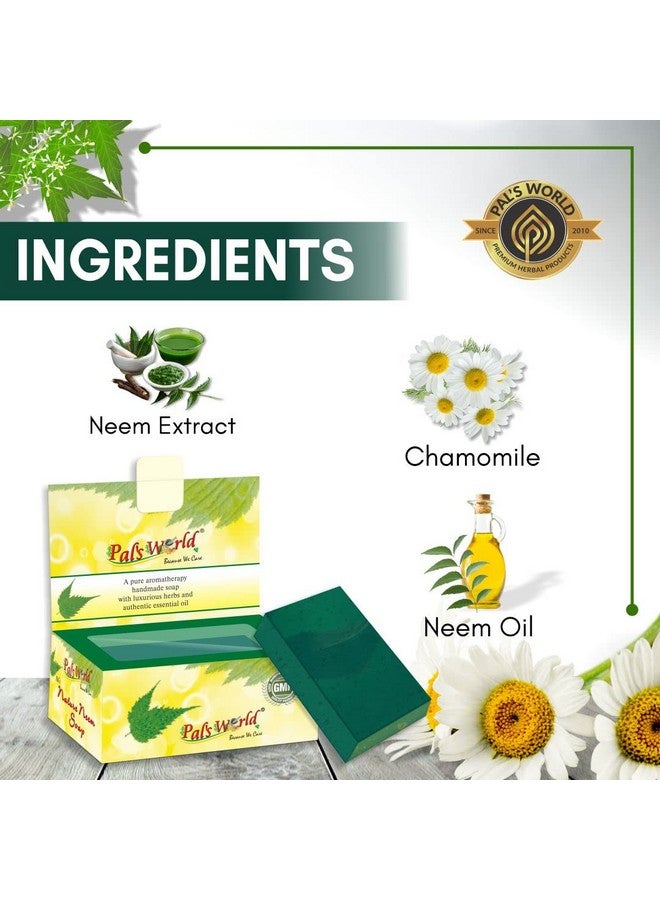 Pal's World Anti Pigmentation Facial Kit & Nature Neem Soap - Pimples Treatment (Anti-Pigmentation Facial Kit With Neem Soap) - Image 4