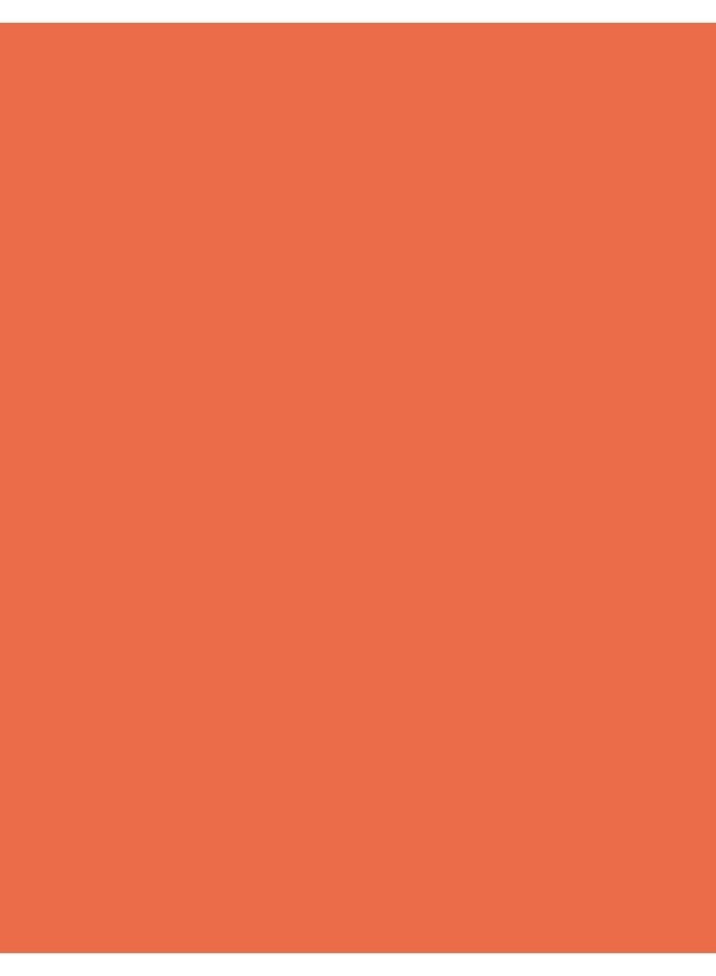 flormar Lip Cheek Tint – 003 Apricot Marmalade – Buildable, Blendable, Long-Wear, Matte Finish 003 Apricot Marmlde - Image 4