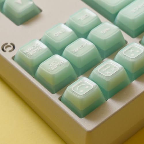 REDQIN ULTRAEQUIP Jade Keycaps, 160 Keys Double Shot, PBT RSA Profile, Translucent Shine Through Custom Keycap Set with Split/ 7U Spacebar for Alice ISO ANSI/ 61/64/84/87/100/104/108 Mechanical Keyboard - Image 3