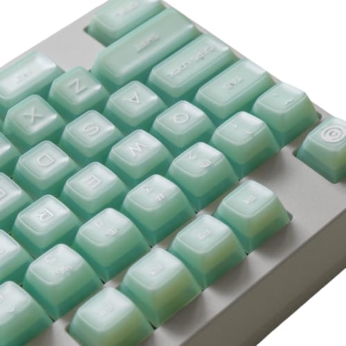 REDQIN ULTRAEQUIP Jade Keycaps, 160 Keys Double Shot, PBT RSA Profile, Translucent Shine Through Custom Keycap Set with Split/ 7U Spacebar for Alice ISO ANSI/ 61/64/84/87/100/104/108 Mechanical Keyboard - Image 1